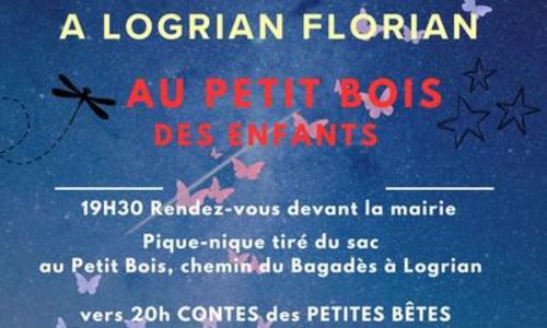 La nuit des insectes