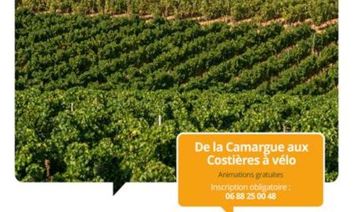 Terroirs vagabonds - Saint-Gilles