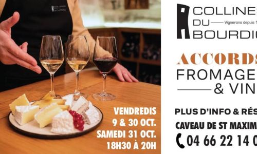 D&eacute;gustation Accord Mets Vins Fromage