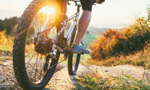 Animation Sportive VTT