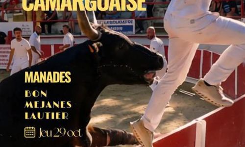 Course camarguaise - Ligue Occitanie