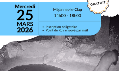 Mares &agrave; M&eacute;jannes