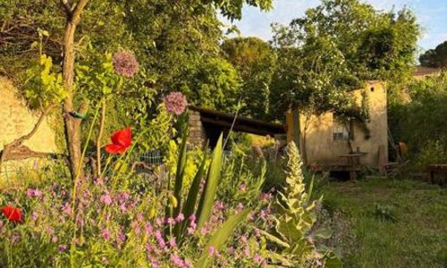 Balade botanique - Avril en balade 2026