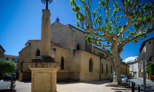 Causerie autour de l'histoire du Rh&ocirc;ne