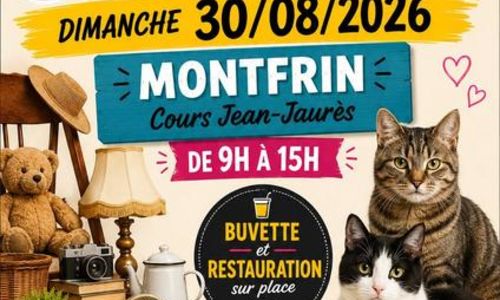 Vide Grenier