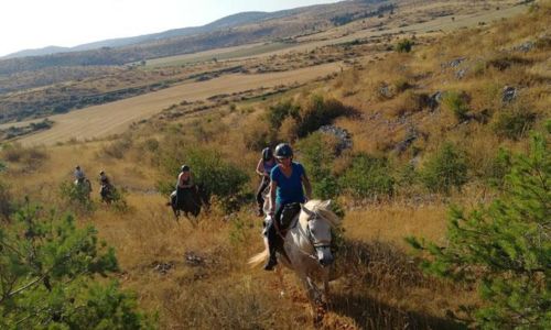 Les Cavaliers du Reg