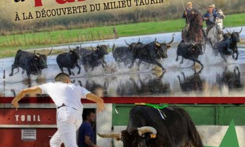 Du pr&eacute; &agrave; l'ar&egrave;ne