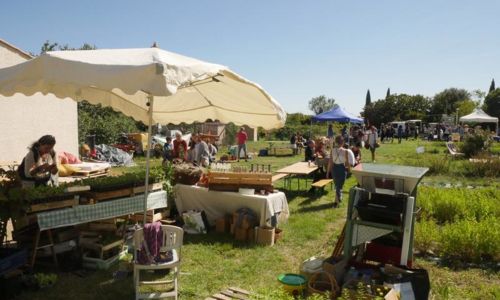 Balade botanique &agrave; la d&eacute;couverte des plantes sauvages comestibles et m&eacute;dicinales