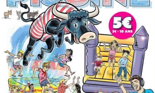 Toro Piscine