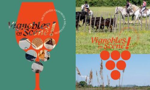 Entre vin des Costi&egrave;res et traditions camarguaises