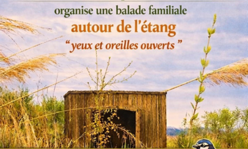 Balade yeux et oreilles ouverts- &eacute;tang - F&ecirc;te de la nature