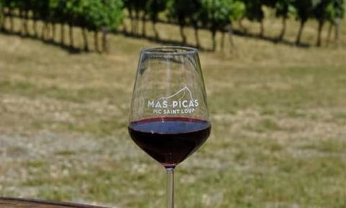 D&eacute;couverte du Domaine au Mas Picas