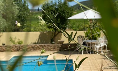 Appartements Mas Buissas : La Source