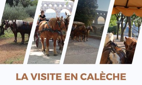 La visite en cal&egrave;che au Pont du Gard