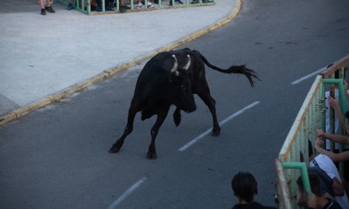 F&ecirc;te de Garrigues Planes