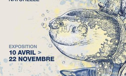 Eau, l&rsquo;expo ! & AquaMus&eacute;um