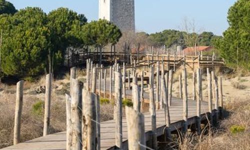 Le phare &eacute;claire la mer, Delphine Bonnet en r&eacute;v&egrave;le les myst&egrave;res