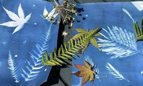 D&eacute;couvrez la technique du cyanotype