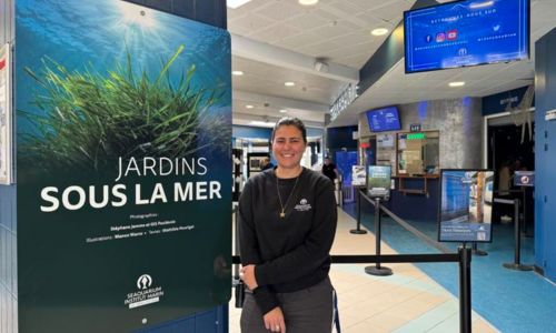 Exposition : Jardins sous les mers