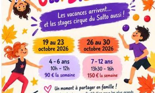 Stage - Les vacances de la Toussaint au Salto !