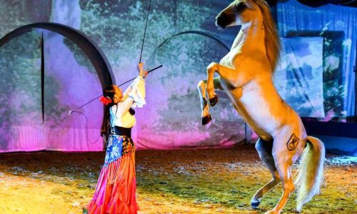 Repas Spectale Equestre & Flamenco