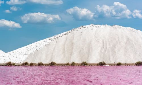 Visites de la r&eacute;colte du sel - Salin d'Aigues-Mortes