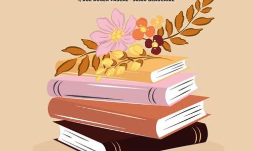Grande braderie de livres