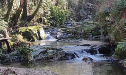 les secrets de la Vall&eacute;e Obscures