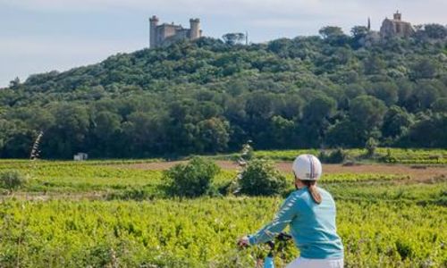 Boucle cyclo-d&eacute;couverte de la Vall&eacute;e du Rh&ocirc;ne