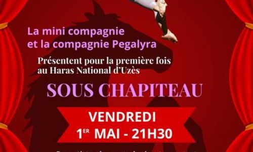 Spectacle - Sous chapiteau
