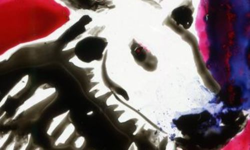 Exposition "Murmure des Arches" - Tours et Remparts d'Aigues-Mortes