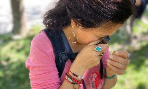 Atelier autour des plantes sauvages : balade botanique d'automne