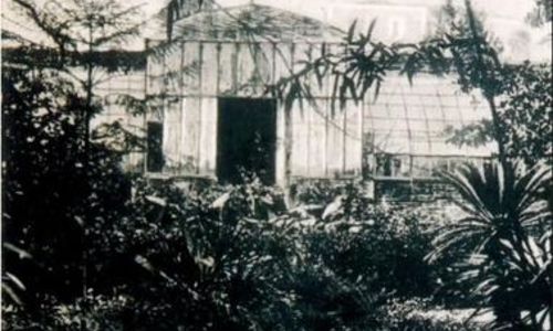 JEP 2026 : Exposition de Photos "l'h&eacute;ritage d'un jardin vivant"
