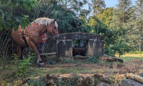 Journ&eacute;es Europ&eacute;ennes du Patrimoine 2026 - Retour aux sources : d&eacute;monstration vivante d'une noria