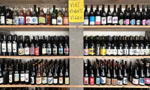 D&eacute;gustation de vins naturels locaux au Maquis sur r&eacute;servation