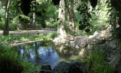 Journ&eacute;es Europ&eacute;ennes du Patrimoine 2026 - Visite du Jardin Remarquable des Oules