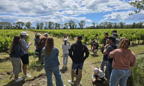 Balade au coeur du vignoble