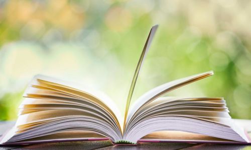 3e Salon du livre