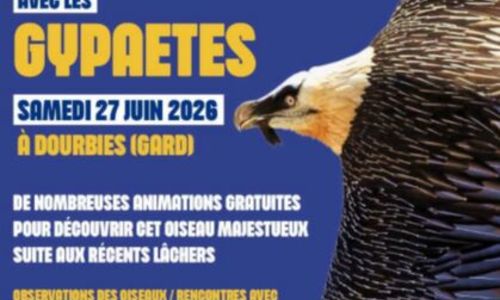 Une Journ&eacute;e avec les Gypa&egrave;tes