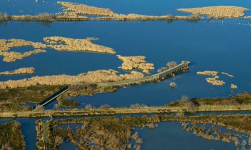Visites nature : "Entre &Eacute;tangs, Vignes et Pin&egrave;des"