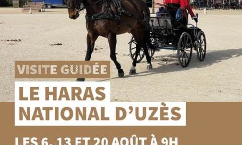 Visites guid&eacute;es du Haras National d'Uz&egrave;s - Uz&egrave;s, Ville d'art et d'histoire