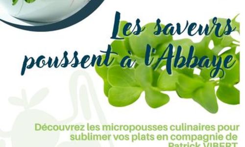 Les Samedis des Halles &ndash; D&eacute;couverte et Saveurs &agrave; l'Abbaye