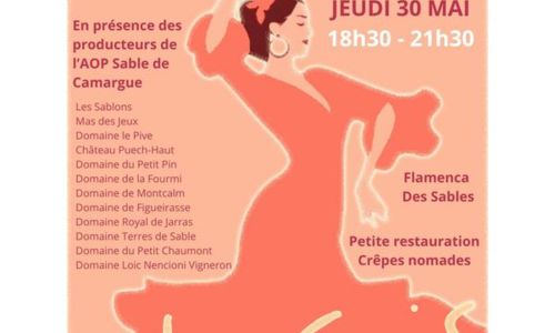 Feria du Gris &agrave; la maison M&eacute;diterran&eacute;enne Des Vins