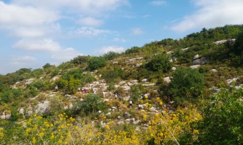 Balade insolite &agrave; la d&eacute;couverte des plantes sauvages comestibles dans la vall&eacute;e de l&rsquo;Eure