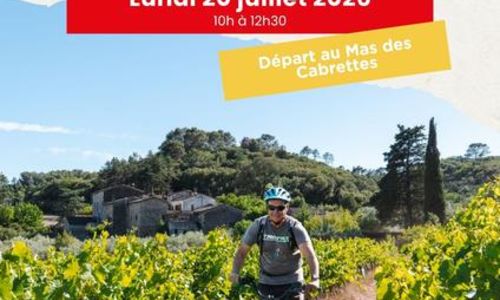 Balade Vigneronne