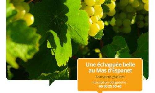 Terroirs vagabonds - Saint-Mamert-du-Gard