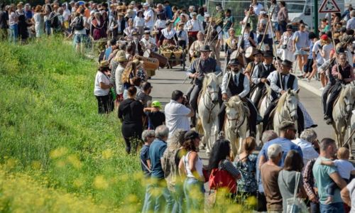 53&egrave;me Foire aux chevaux
