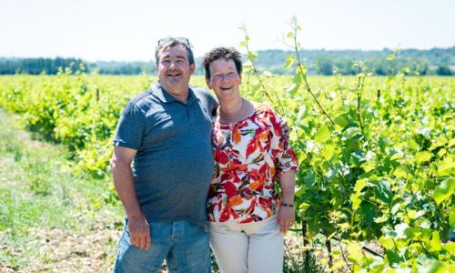 Visite et d&eacute;gustation du Domaine de la Tour