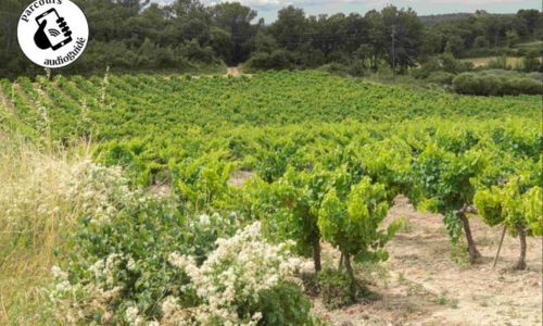 Balade autour d'une circulade