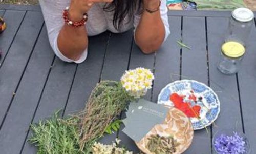 Atelier autour des plantes sauvages